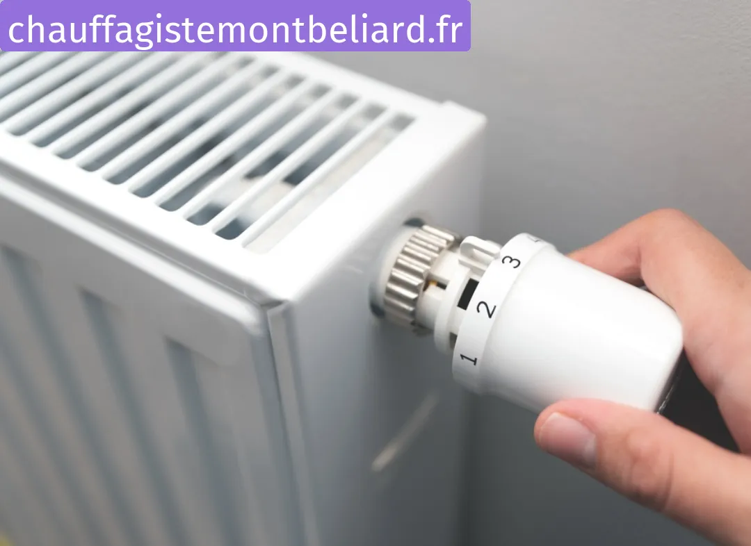 Remplacement de Thermostat Montbéliard